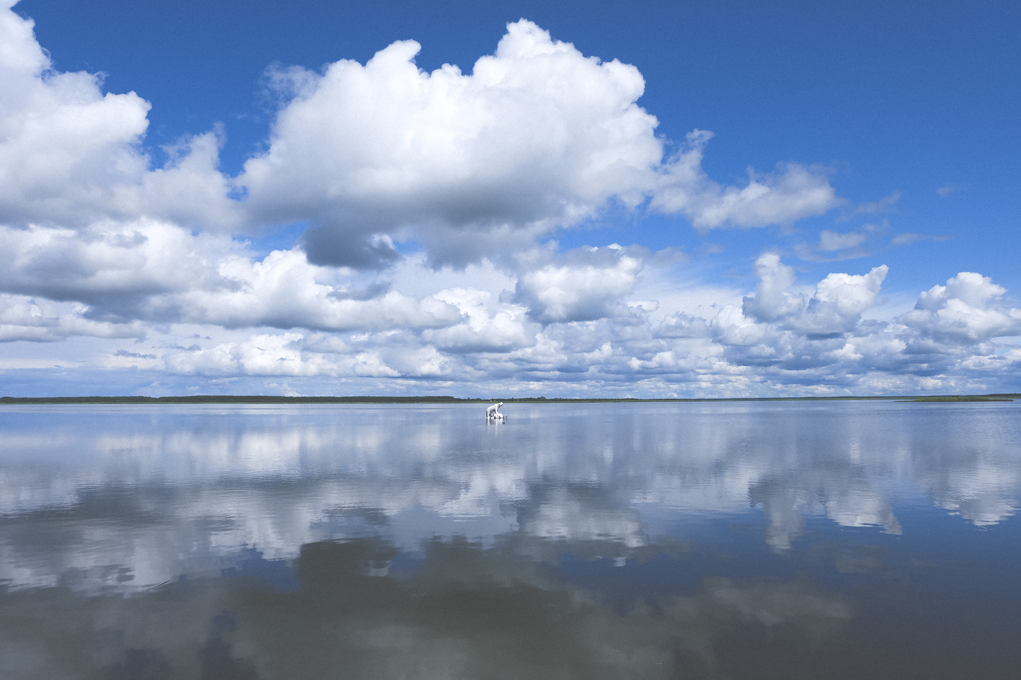 Haapsalu (juuli 2015)
